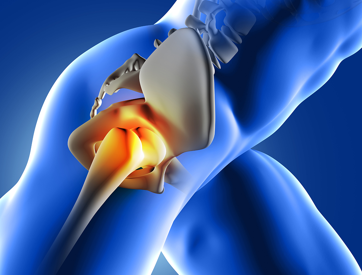 Staw biodrowy: Fundament Mobilności i Stabilności Ciała